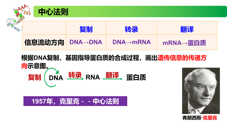 2.3.2 中心法则、细胞分化的本质、表观遗传课件(共22张PPT)高一生物（苏教版2019必修2）