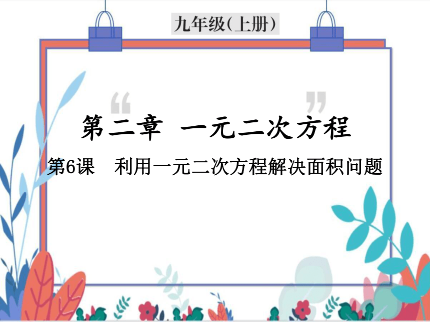 【北师大版】数学九年级（上）2.3.3 利用一元二次方程解决面积问题 习题课件