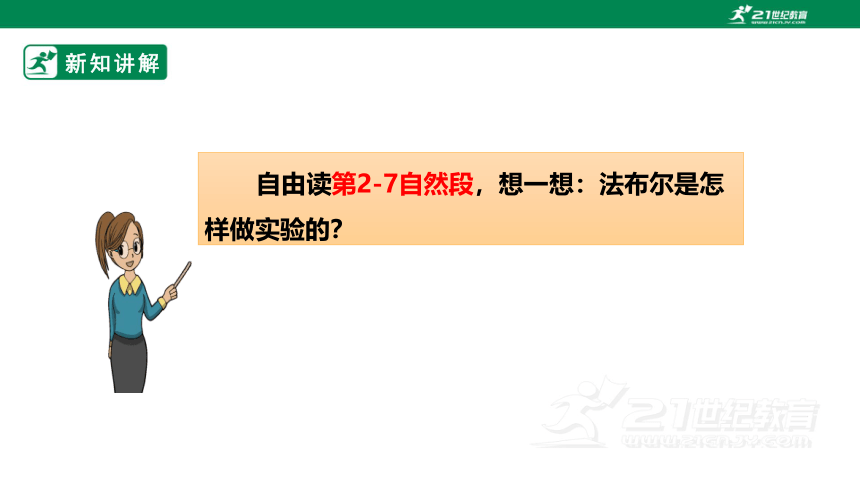 【新课标】部编版三下 14 蜜蜂 课件 第2课时