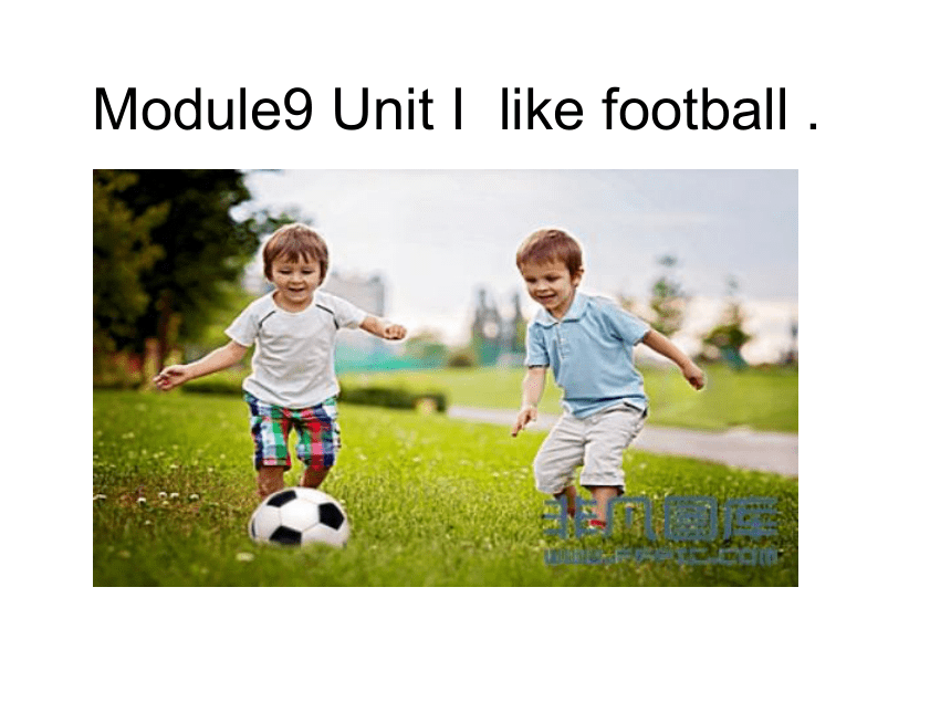 Module 9 Unit 1 I  like  football. 课件(共14张PPT)
