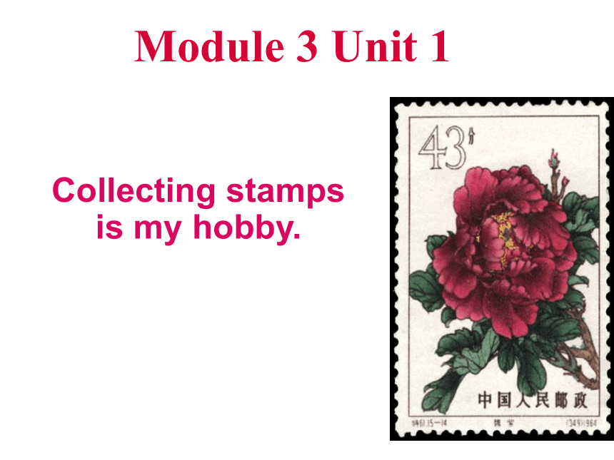 Module 3 Unit 1 Collecting stamps is my hobby. 课件(共13张PPT)