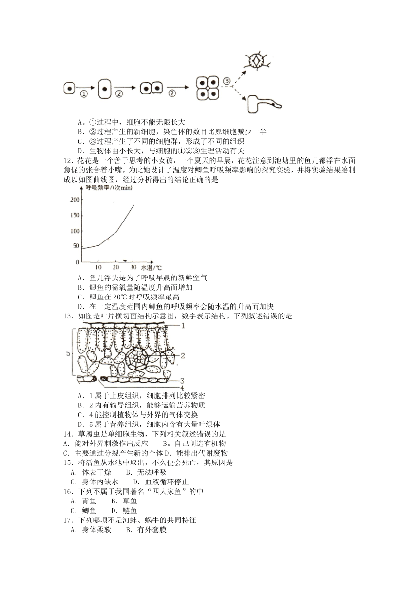 江苏省徐州市邳州市2022-2023学年七年级下学期期中生物试题（word版 含答案）