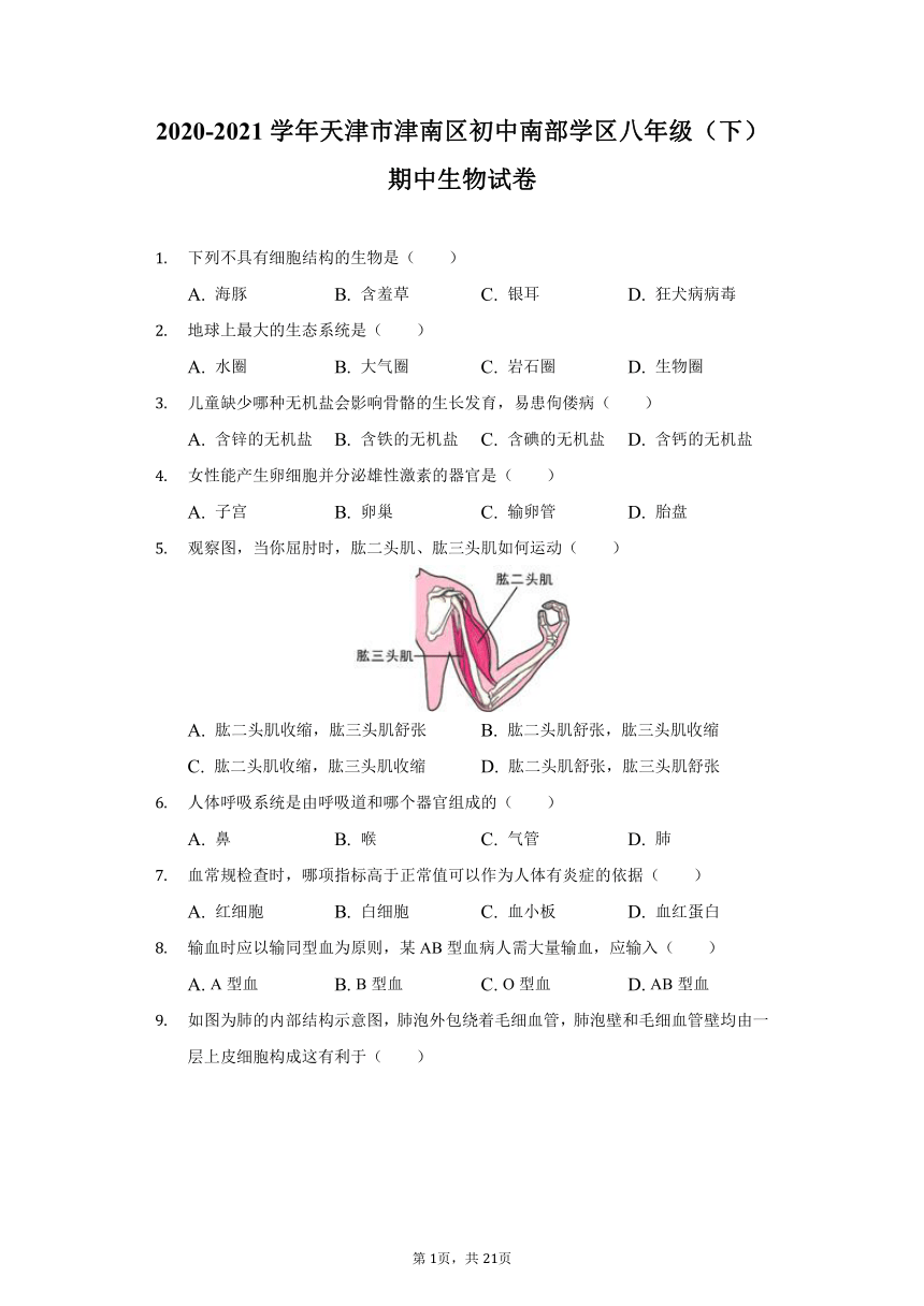 2020-2021学年天津市津南区初中南部学区八年级（下）期中生物试卷（word版 含解析）