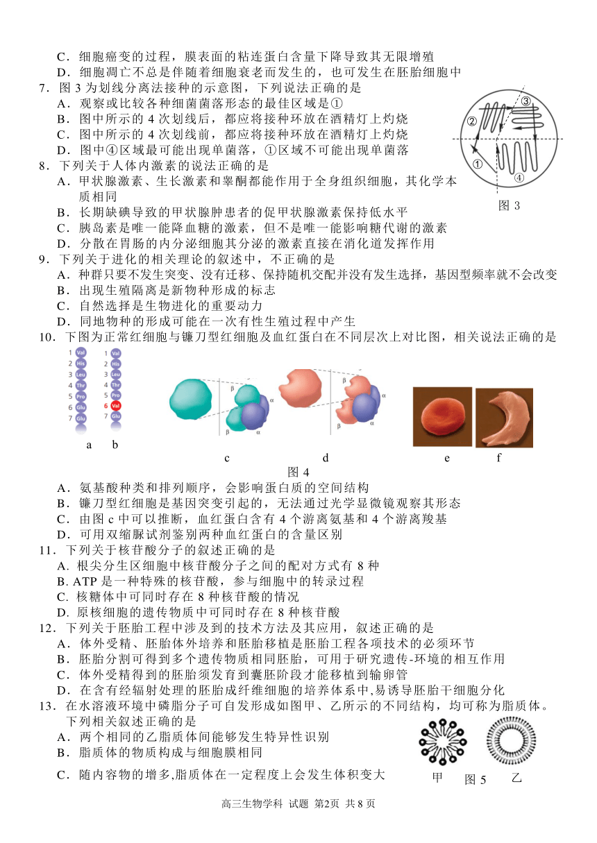 浙江省七彩阳光新高考研究联盟2022届高三上学期11月期中联考生物试题 (PDF版含答案)