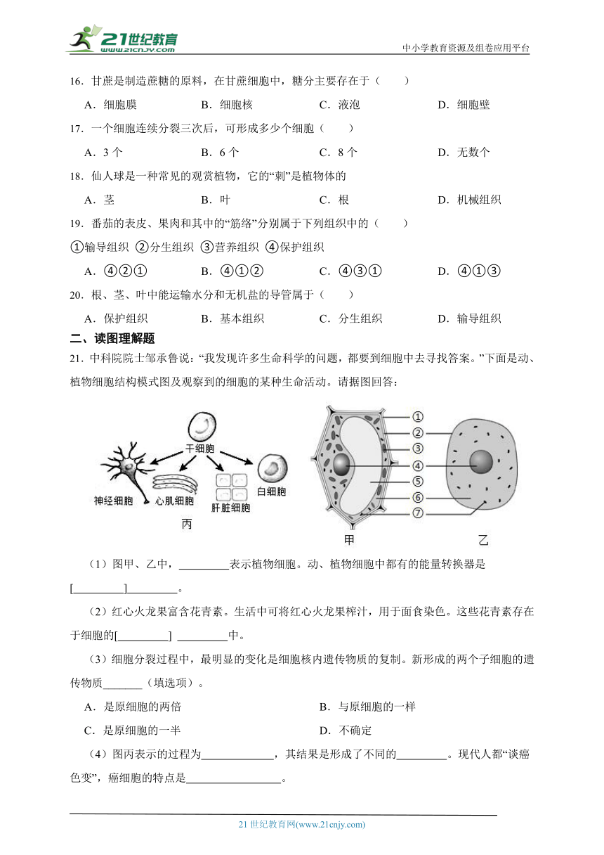 苏科版生物七年级下册2023年春期第一次月考试题（含解析）