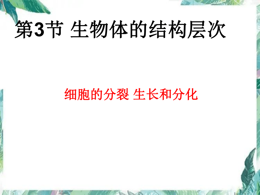 北师大版 七年级上册 第二单元 第四章第3节生物体的结构层次 优质公开课课件（共20张PPT）