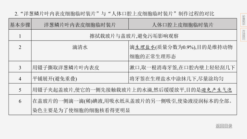 2024年浙江省中考科学二轮复习生物部分：专题一 生物体的结构层次（课件 19张PPT)