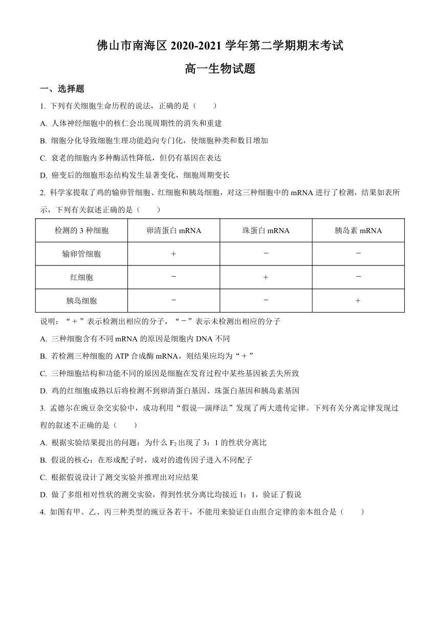 广东省佛山市南海区2020-2021学年高一下学期期末考试（南海统考）生物试题 Word版含答案