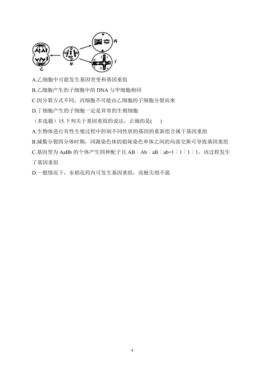 4.2基因重组使子代出现变异——2022-2023学年高一生物学浙科版（2019）必修二课时练习（有解析）