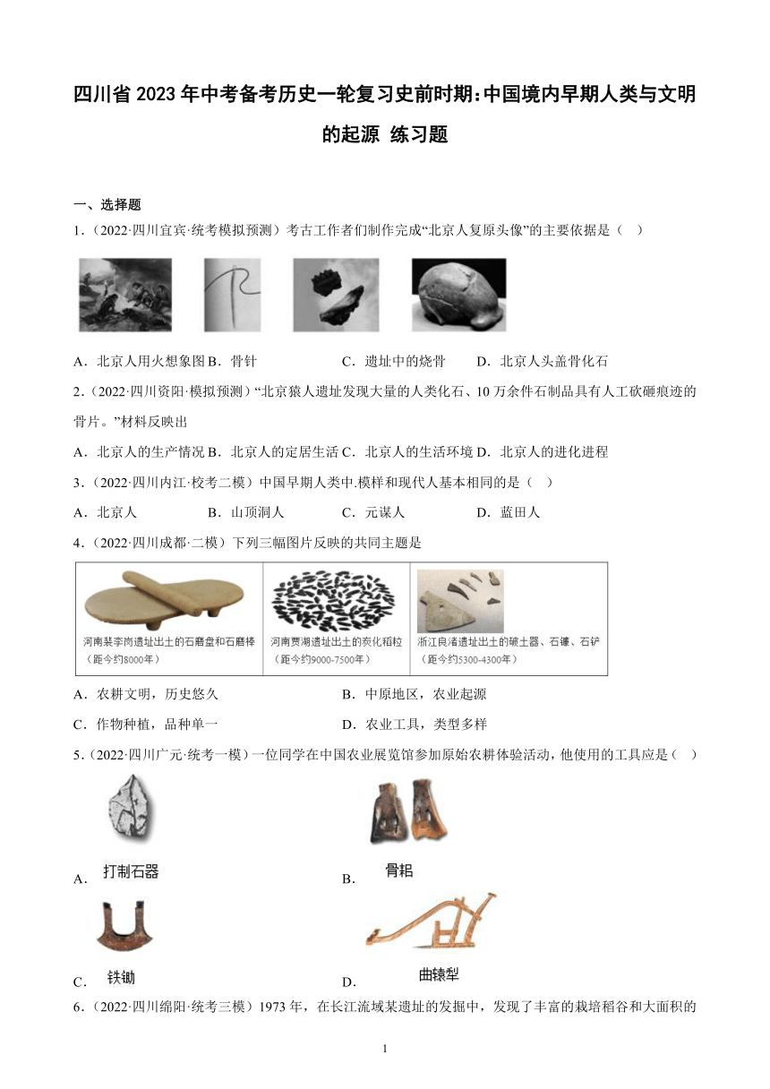 四川省2023年中考备考历史一轮复习史前时期：中国境内早期人类与文明的起源 练习题（含解析）