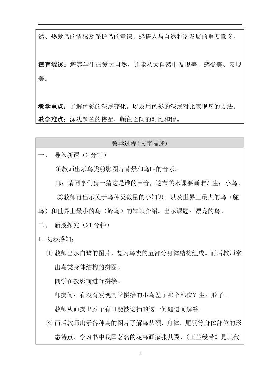 人美版（北京） 二年级下册美术教案 第3课 花羽毛的鸟（漂亮的鸟）（两个教案）