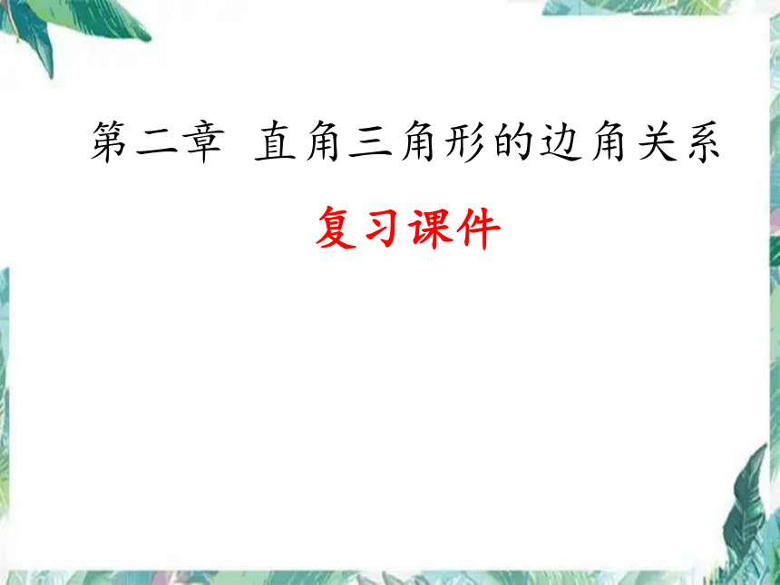 华师大版九年级上册 24解直角三角形复习课件(共19张PPT)