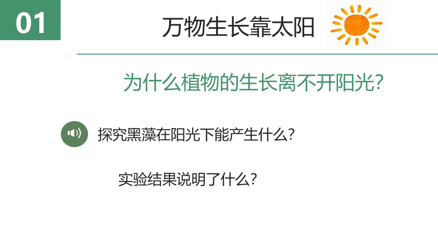 3.4.1植物的光合作用课件（共18张PPT）苏科版七年级上册