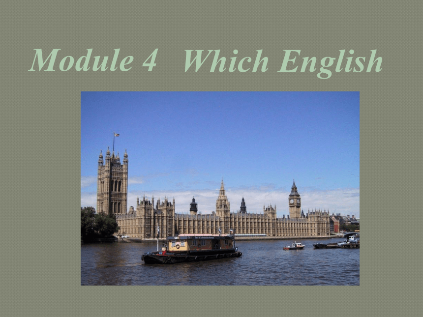 外研版选修八Module 4 Which English reading and vocabulary课件(共15张PPT)