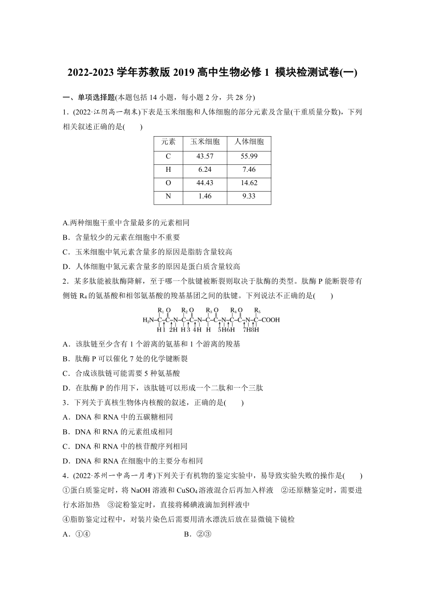 2022-2023学年苏教版2019高中生物必修1 模块检测试卷(一)（word含解析）