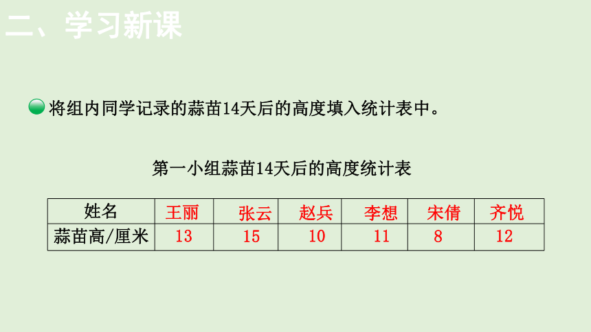 小学数学北师大版四年级下6.2栽蒜苗（一）  课件(共21张PPT)