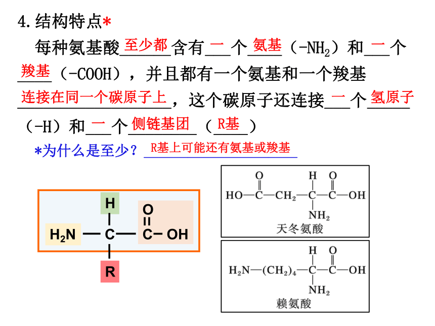 2.4蛋白质是生命活动的主要承担者课件(共36张PPT)-人教版必修1