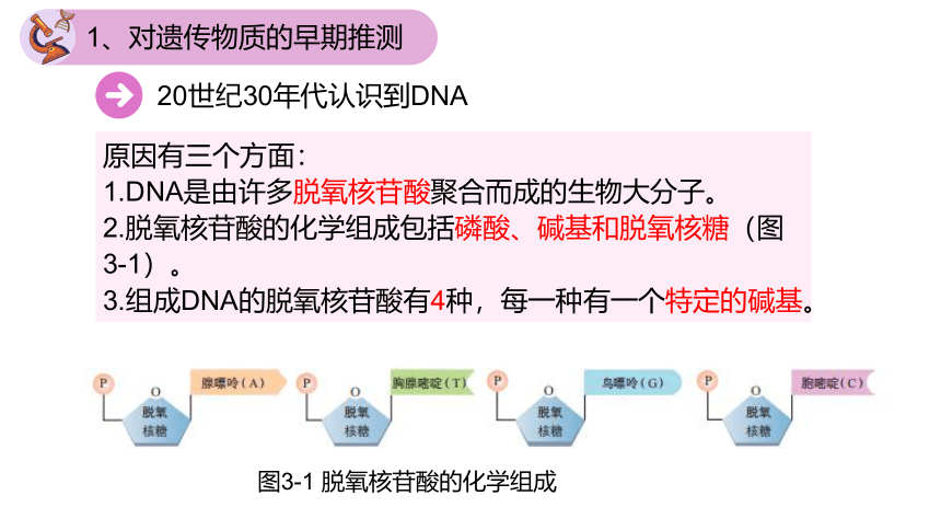 3.1DNA是主要的遗传物质（第一课时）(共21张PPT)课件2022-2023学年高一下学期生物人教版必修二