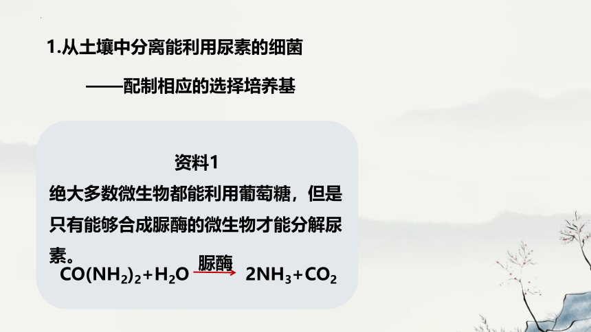 1.2.2土壤中分解尿素的细菌的分离与计数课件(共27张PPT)-人教版选择性必修3