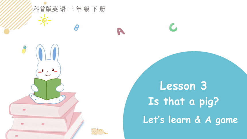 Lesson 3 Is that a pig？ 第二课时 课件(共19张PPT)