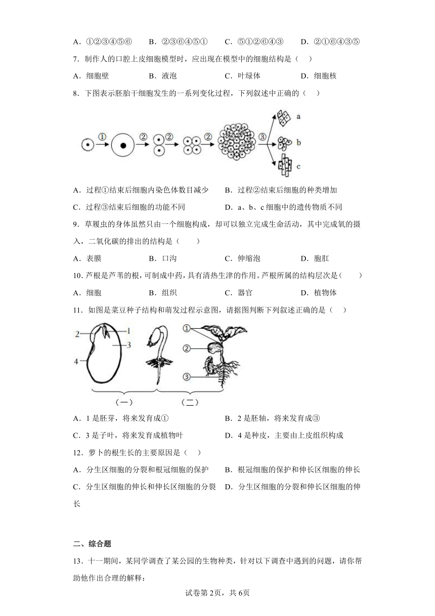 辽宁省沈阳市沈北新区2022-2023学年七年级上学期期中生物试题(含答案)