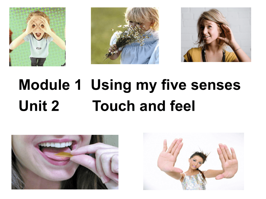 Module 1 Unit 2 Touch and feel 课件(共20张PPT)
