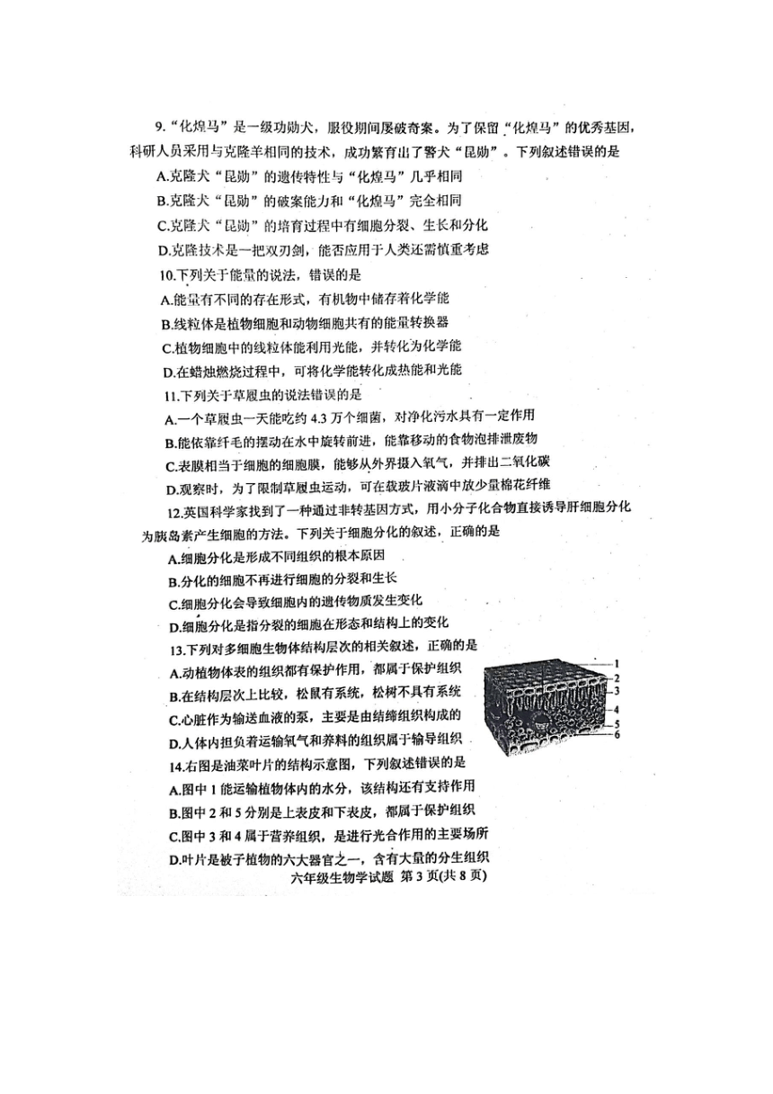 山东省肥城市（五四学制）2021-2022学年六年级上学期期末考试生物试题（扫描版无答案）