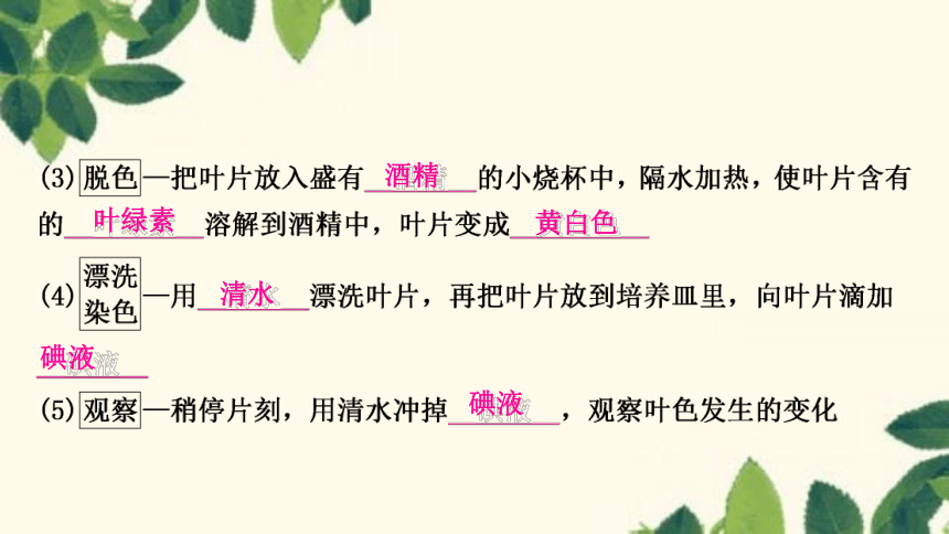 人教版生物七年级上册 第四章　绿色植物是生物圈中有机物的制造者 课件（共21张PPT）