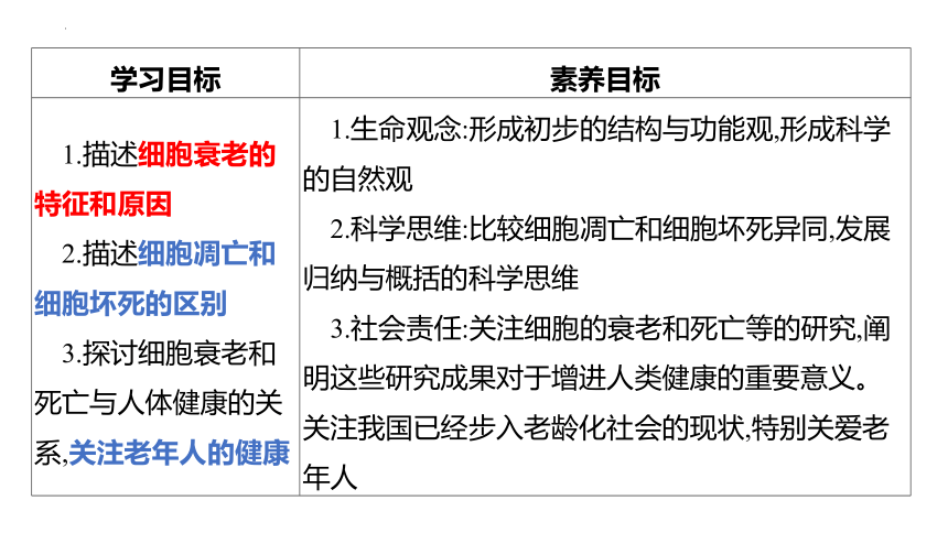 生物人教版（2019）必修1 6.3细胞的衰老和死亡（共22张ppt）