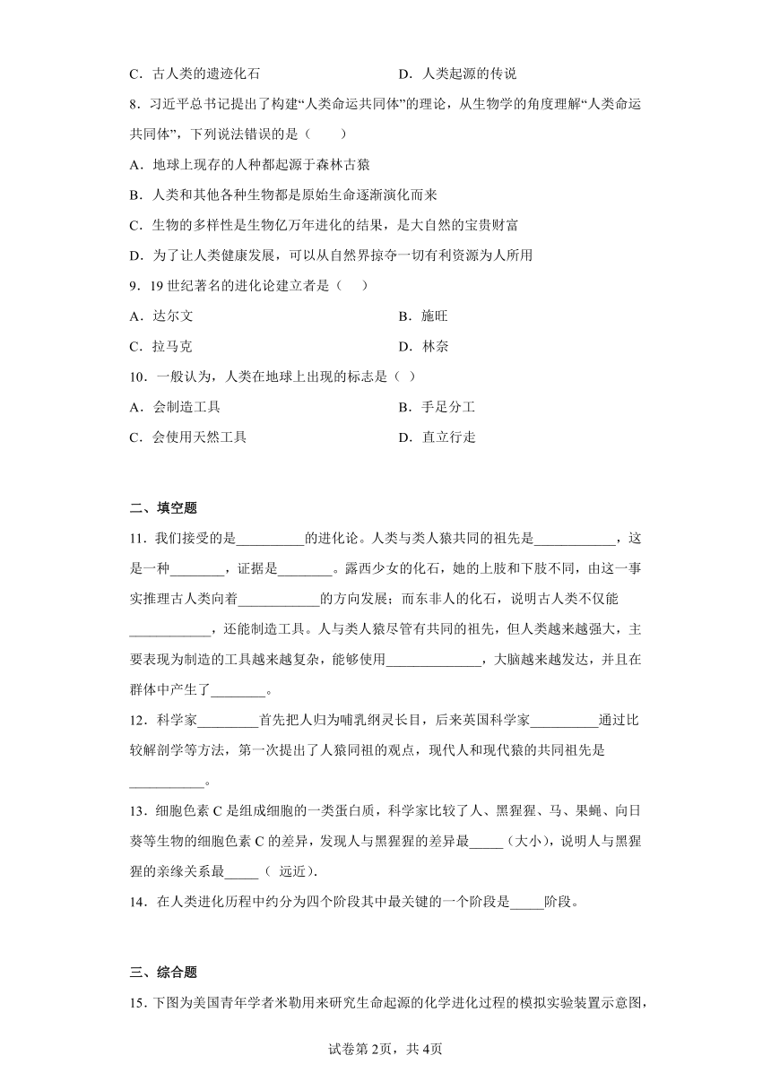 7.21.3人类的起源与进化 同步练习 （含解析）北师大版生物八年级下册