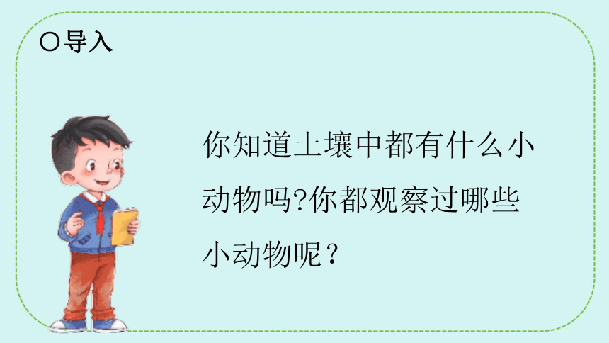 青岛版（六三制2017秋）小学科学 一年级下册 4.14土壤中的小动物  课件(共22张PPT)