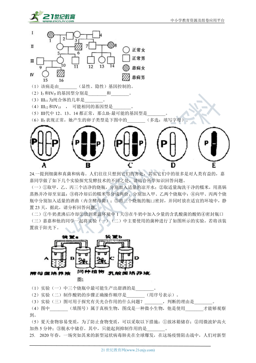 初中生物苏教版八年级下册期末模拟测试（含解析）