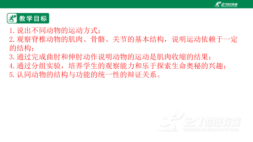 济南版2022-2023学年七年级生物上册2.2.3 动物的运动-同步课件（共31页ppt）