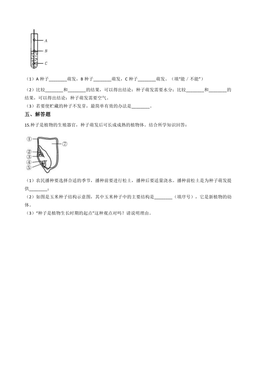 1.4植物的一生 同步练习(含解析)