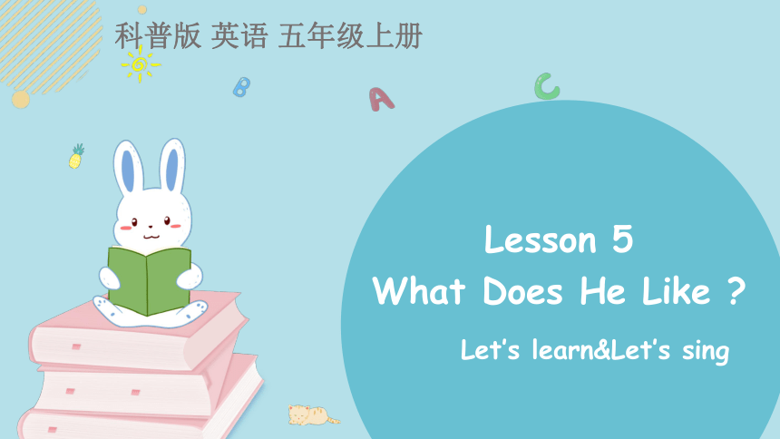 Lesson 5 What does he like? 第2课时课件(共18张PPT)