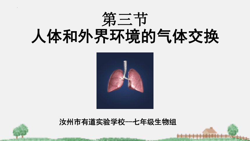 2021-2022学年苏教版生物七年级下册10.3人体和外界环境的气体交换课件(共31张PPT)