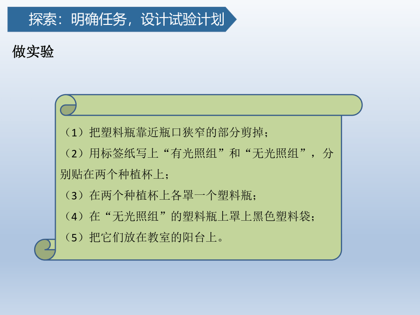 教科版（2017秋）小学科学2.3  五年级下册 绿豆芽的生长 课件  (共19张PPT)