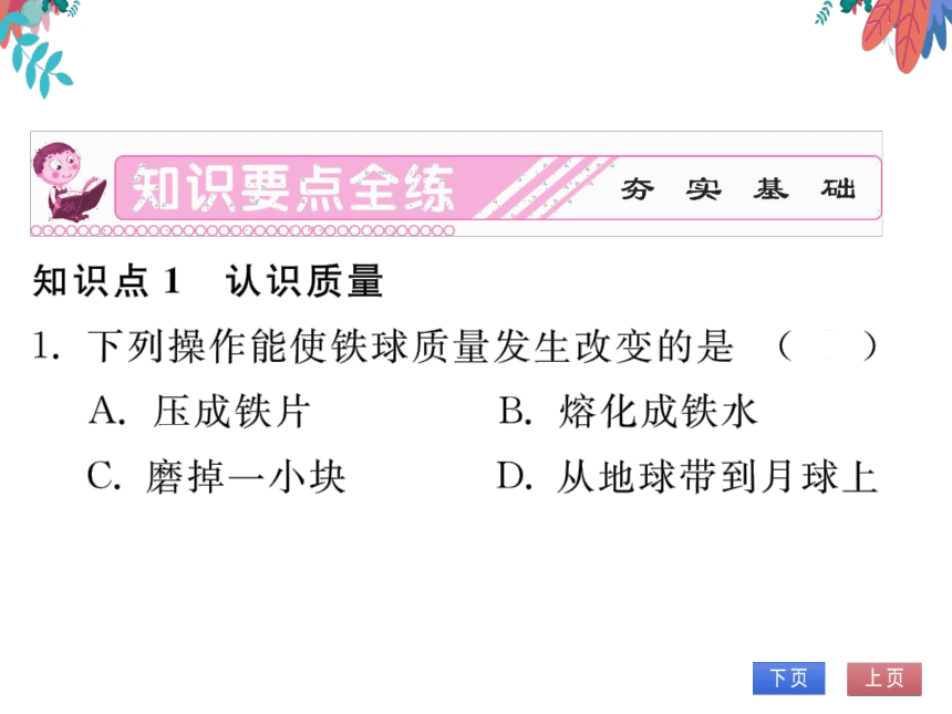 【人教版】物理八年级上册 6.1 质量  习题课件