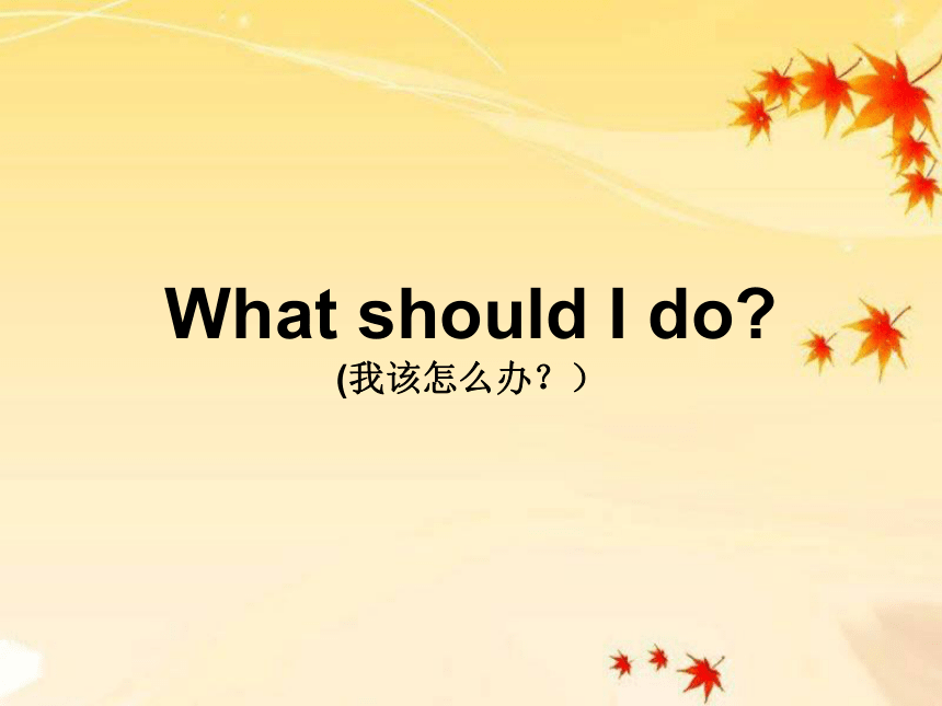 Unit 4 My Family Lesson 3  课件(共24张PPT)