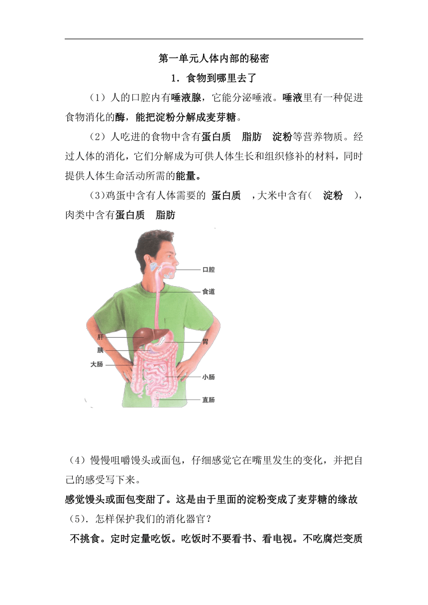 青岛版（六三学制2001）科学 五年级下册 第一单元 人体内部的秘密 知识梳理