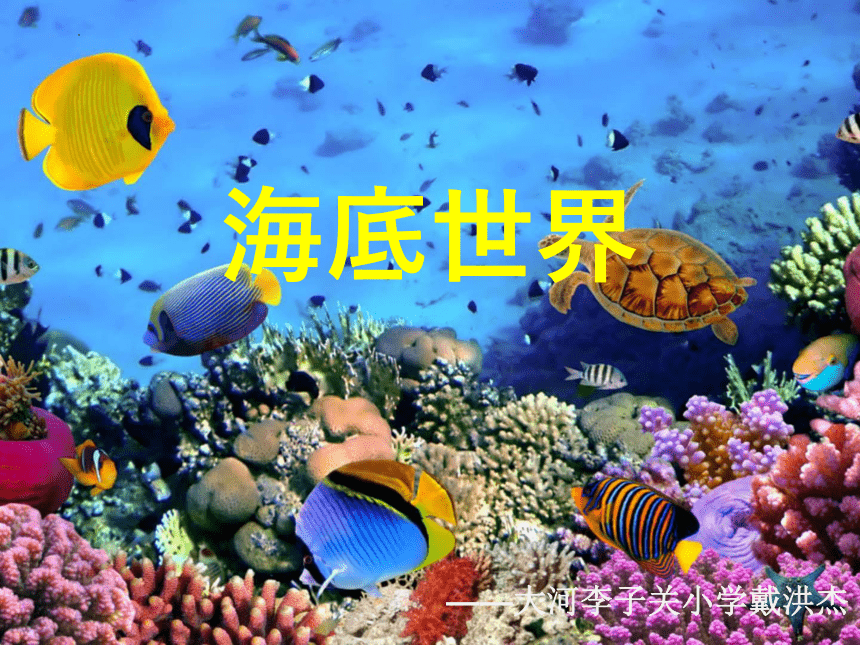 辽海版 五年级上册 美术 第19课 海底世界 课件（共15张PPT）