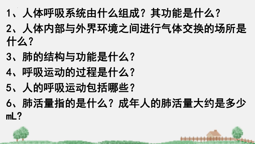 2021-2022学年苏教版生物七年级下册10.3人体和外界环境的气体交换课件(共31张PPT)