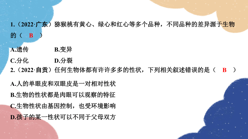 2023年中考生物复习 专题19　生物的遗传与变异习题课件（共17张PPT）