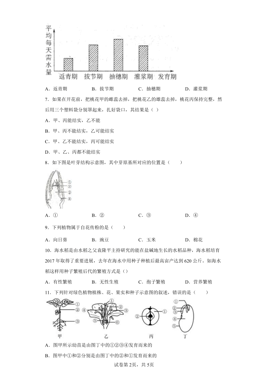 7.1 绿色开花植物的有性生殖和发育 课时训练（含答案）