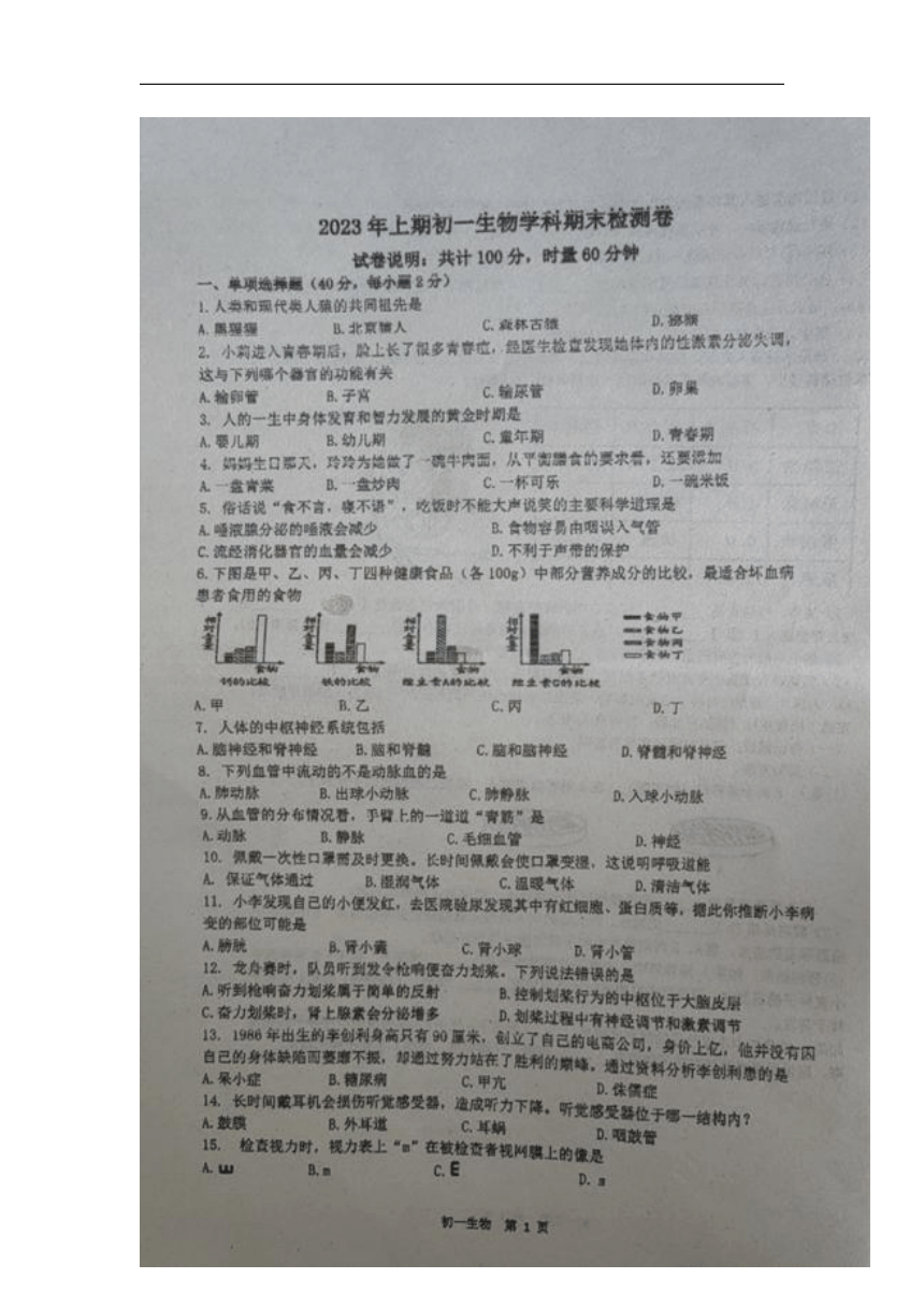 湖南省衡阳市2022-2023学年七年级下学期期末考试生物试题（图片版无答案）