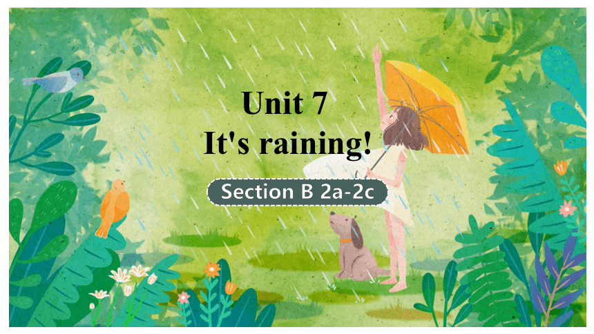 人教新目标(Go for it)版七年级下册Unit 7 It's raining!  Section B 2a-2c课件(共25张PPT)