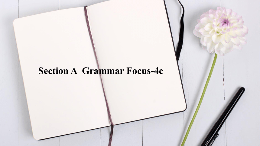 Unit 14 I remember meeting all of you in Grade 7 Section A  Grammar Focus-4c 课件（43张PPT)