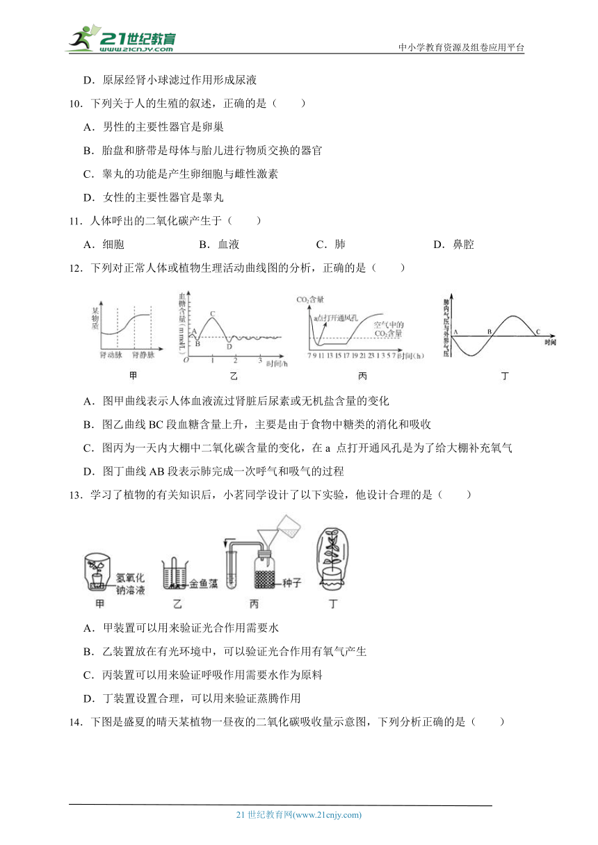 2023年初中生物中考常错点巩固检测题2（含解析）