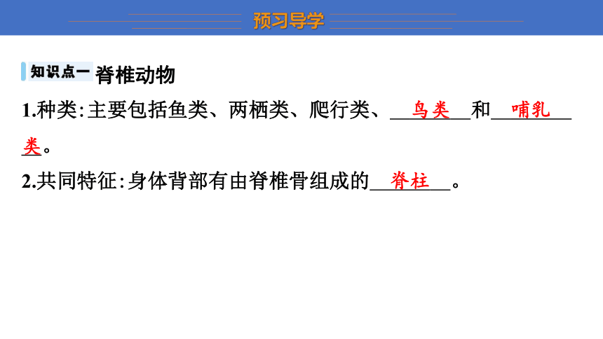 5.14.2 千姿百态的动物世界 第2课时 课件 (共15张PPT) 2023-2024学年生物苏教版八年级上册