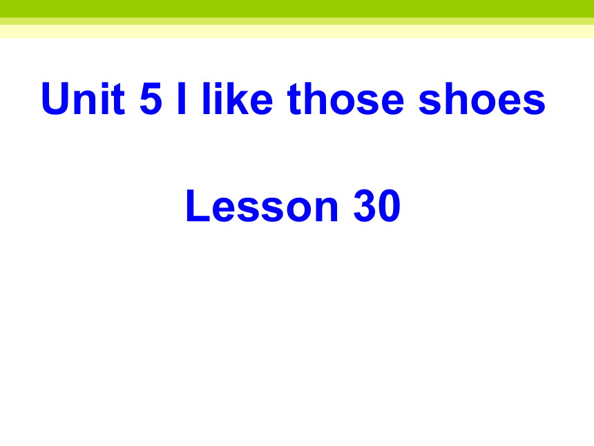Unit5 I like those shoes.（Lesson30) 课件（30张PPT）